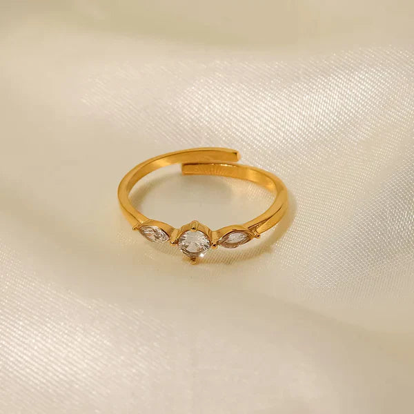 Perfection Ring